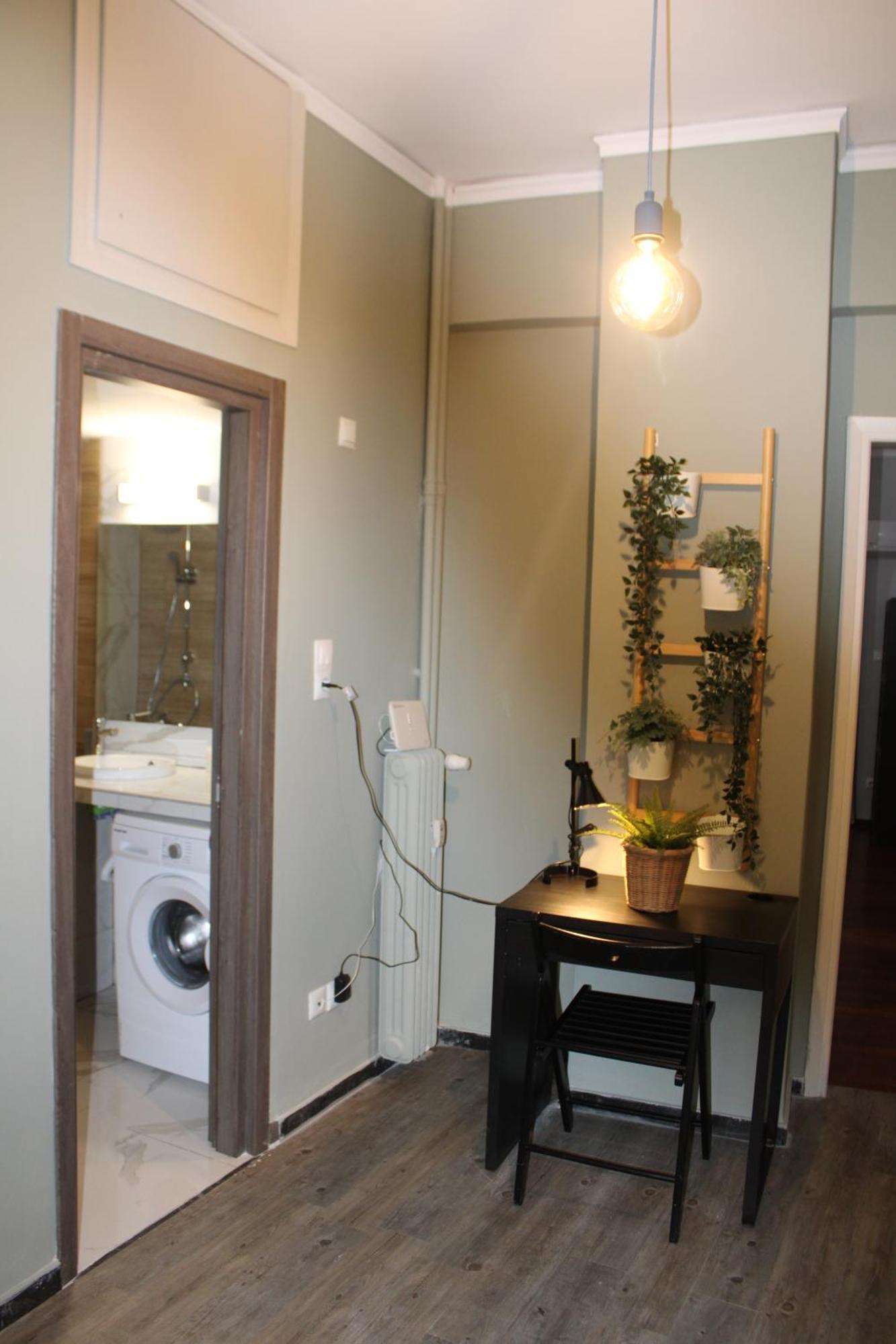 Themis 12 Apartament Ateny